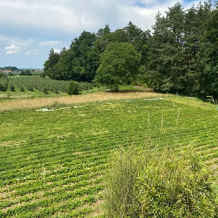 Apartment Apfelbluete Eriskirch