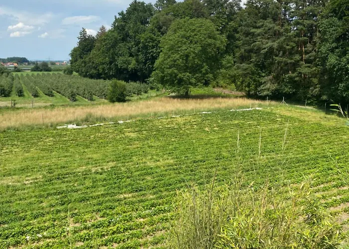 アパート Apfelbluete エリスキルヒ