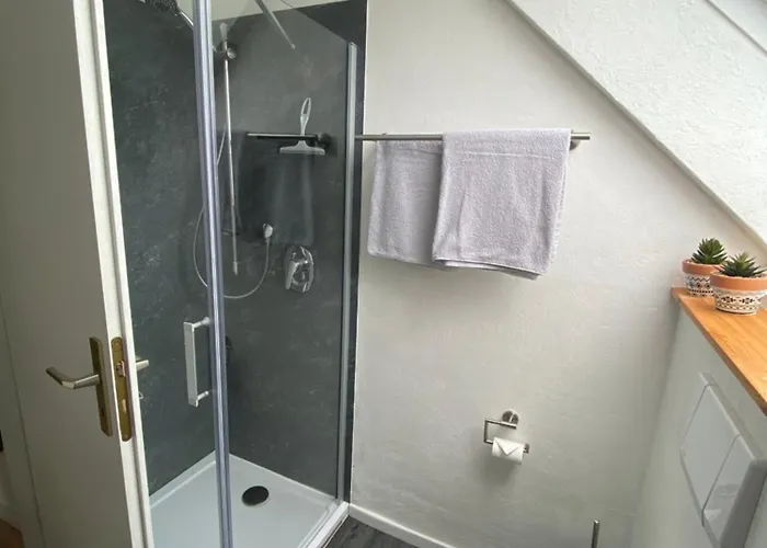 Apfelbluete Eriskirch